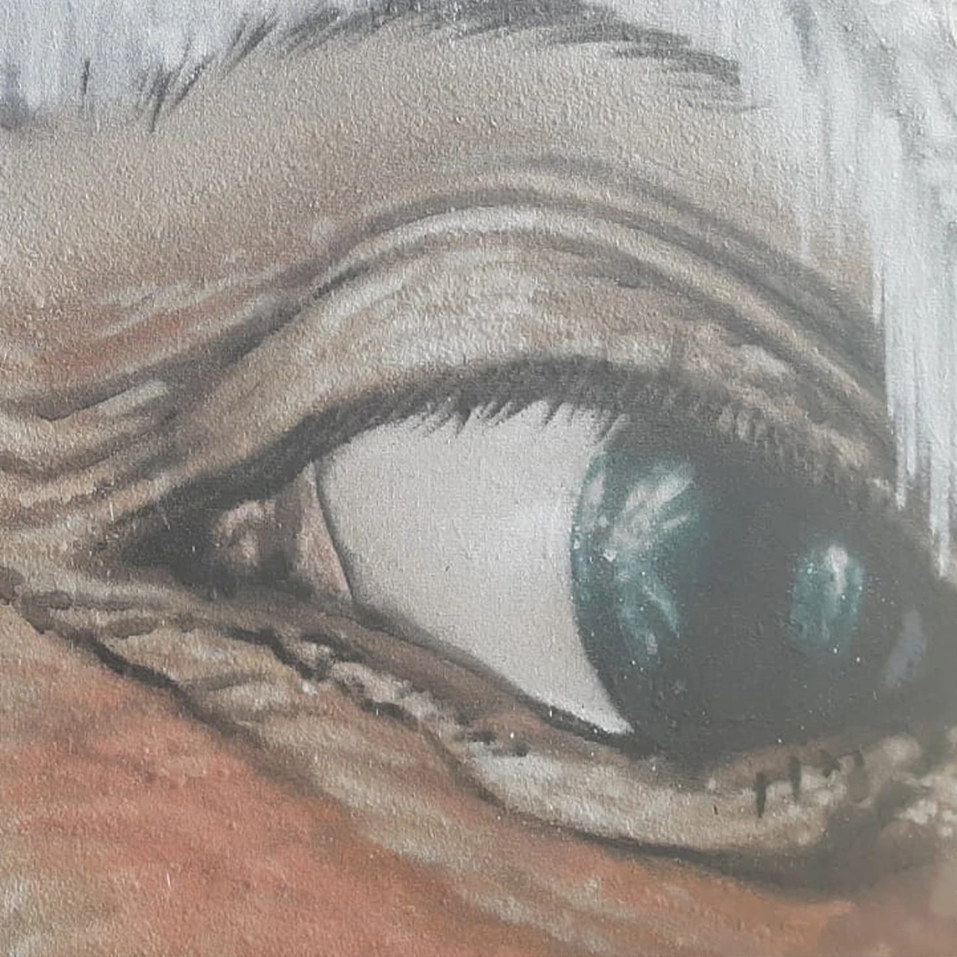 Wall art: Panda Life – Roots are not a Crime