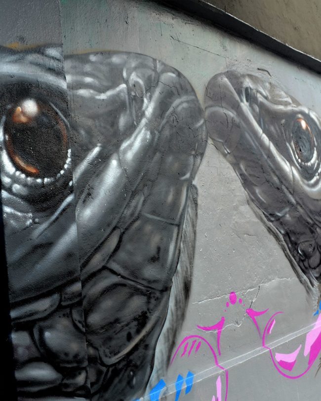 Art performance by Kin: During Valentine's Day