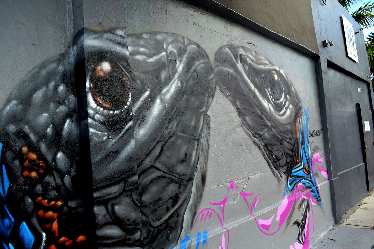 Art performance by Kin: During Valentine's Day